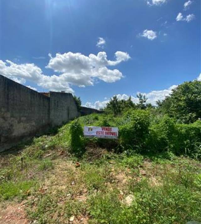 WhatsApp Image 2026-02-13 at 17.29.52.jpeg